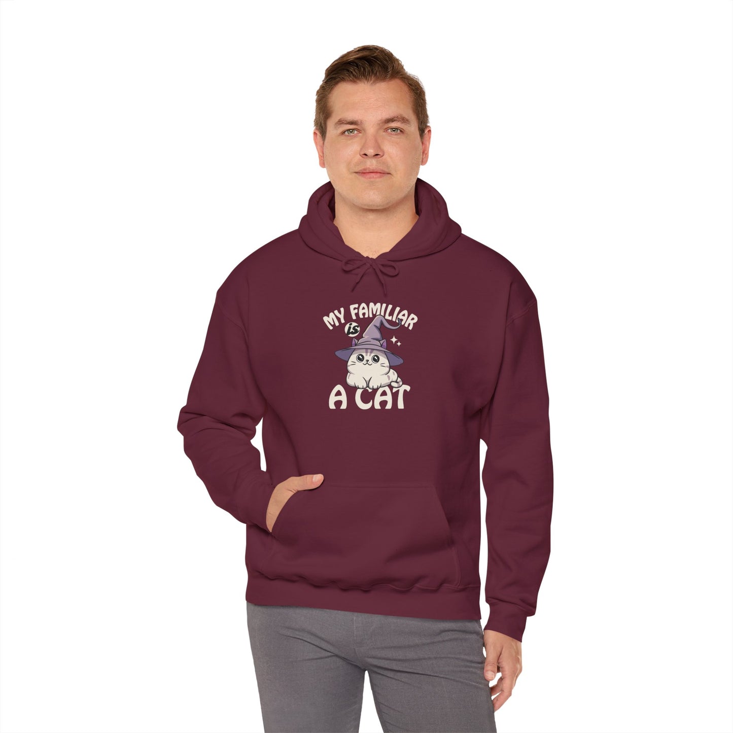 My Familiar is a Cat - Heavy Blend™ Hoodie for Men and Women