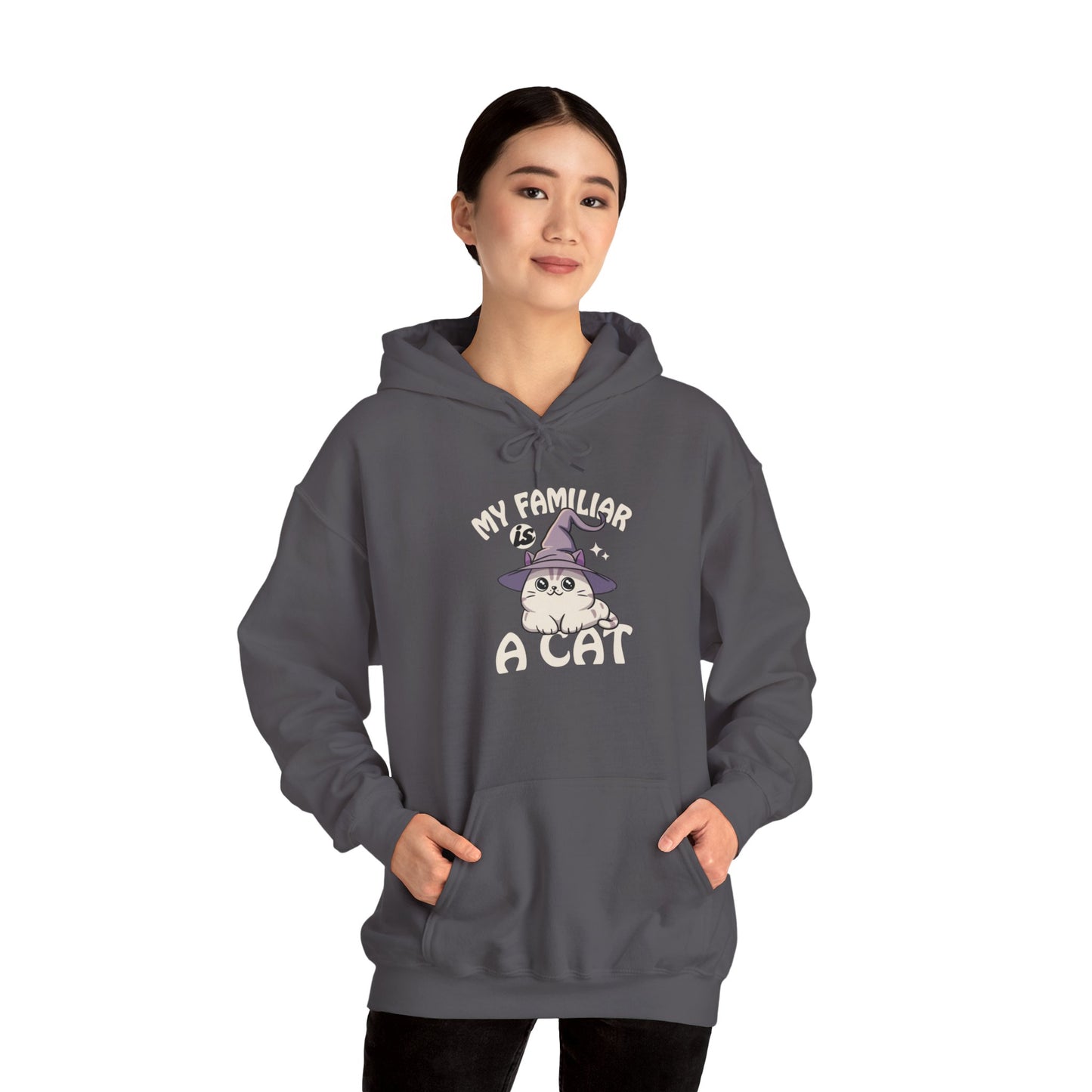 My Familiar is a Cat - Heavy Blend™ Hoodie for Men and Women