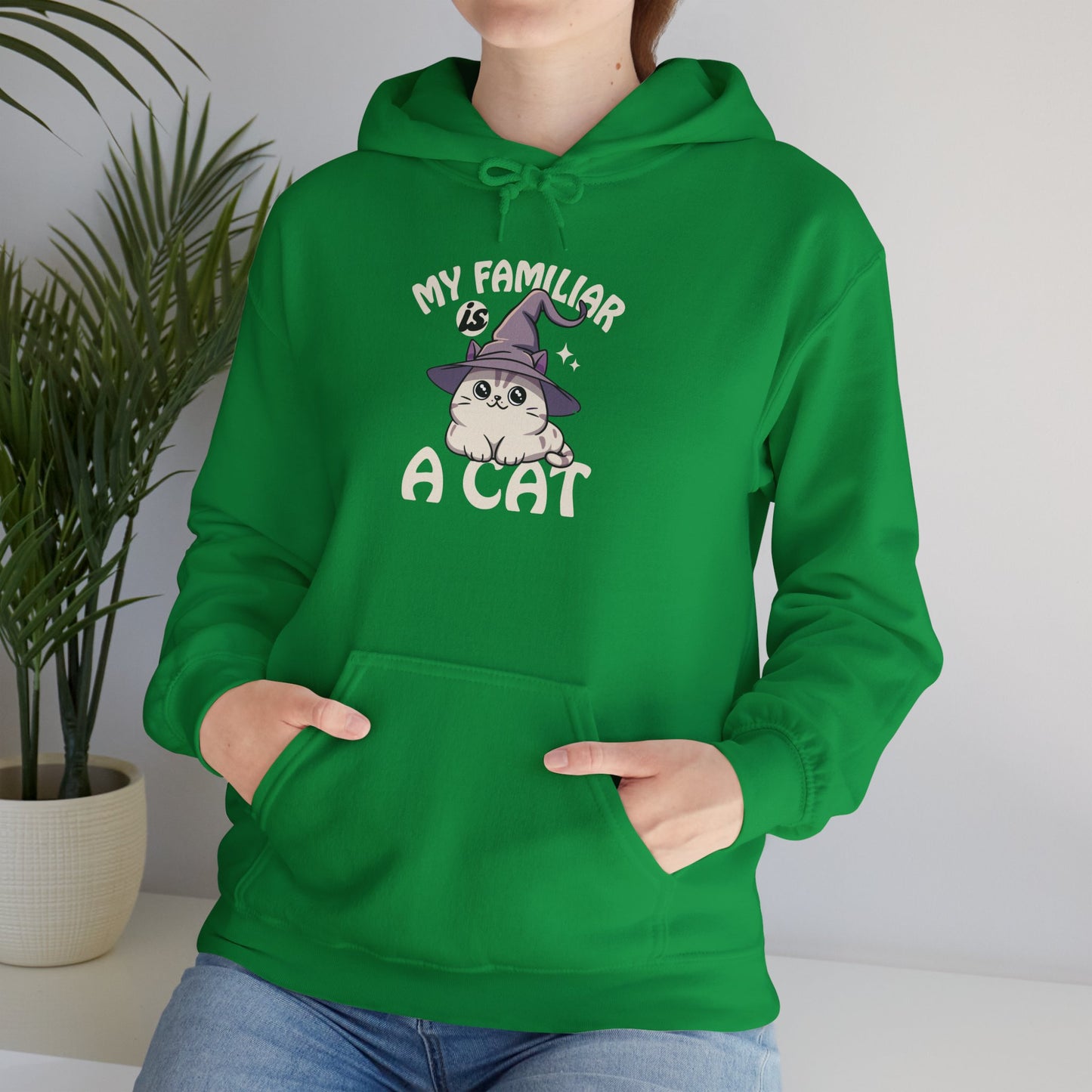 My Familiar is a Cat - Heavy Blend™ Hoodie for Men and Women