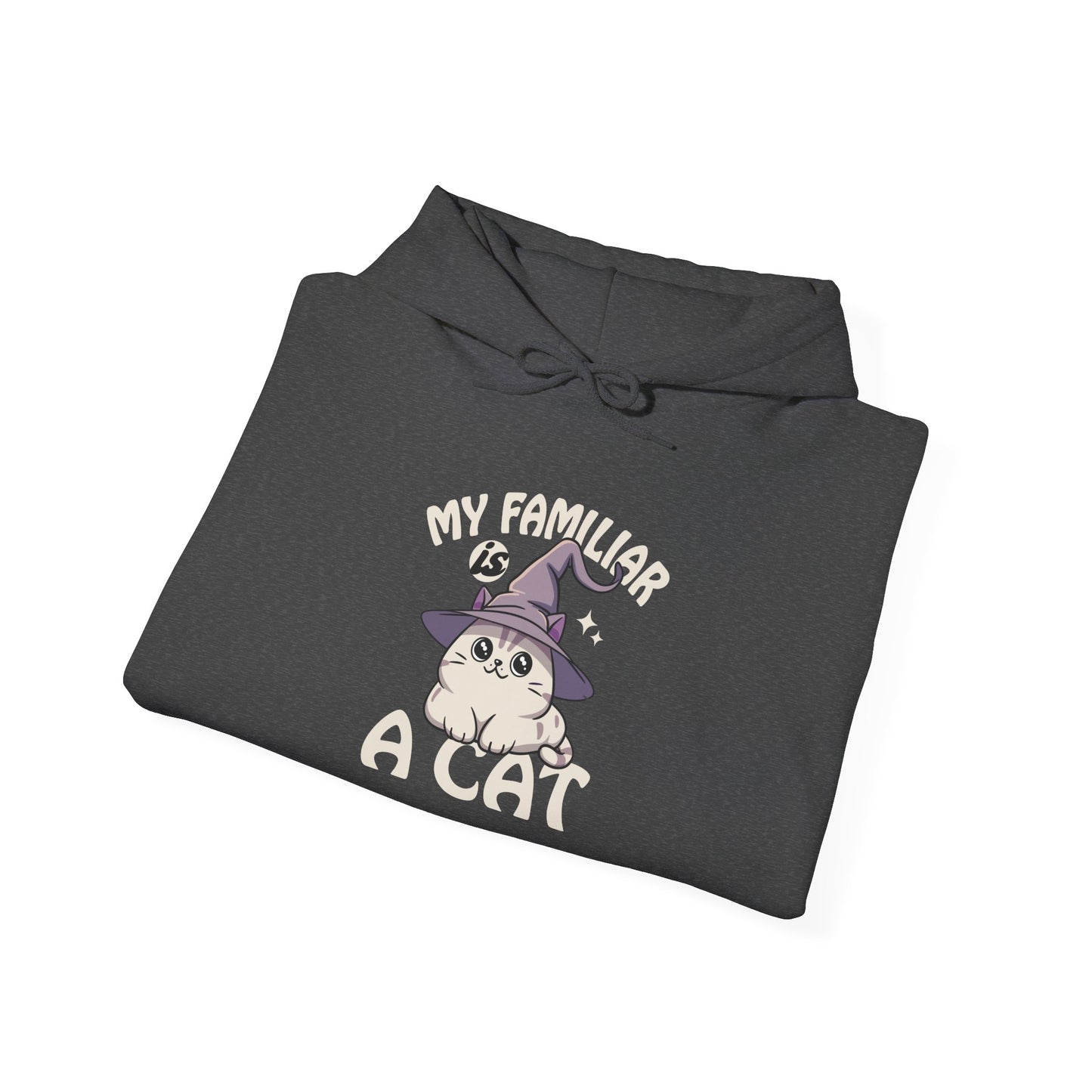 My Familiar is a Cat - Heavy Blend™ Hoodie for Men and Women
