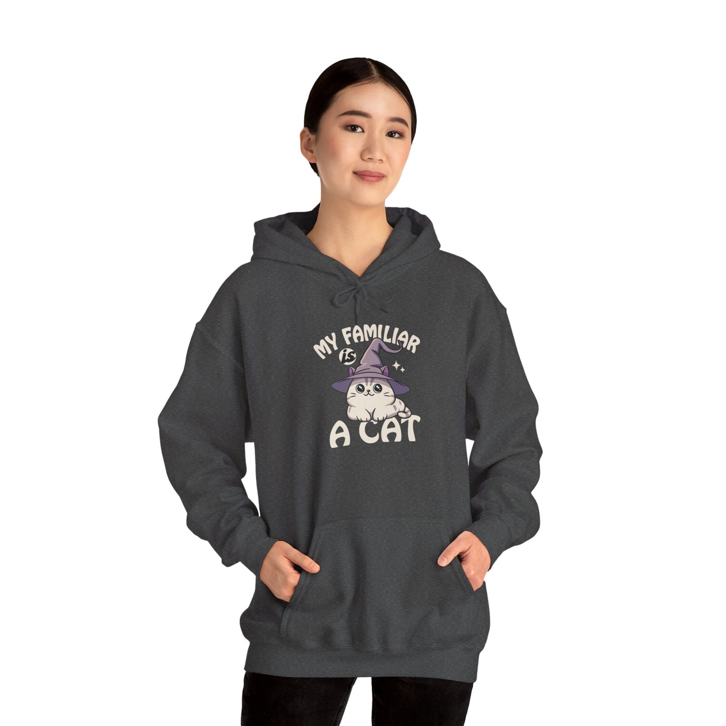 My Familiar is a Cat - Heavy Blend™ Hoodie for Men and Women