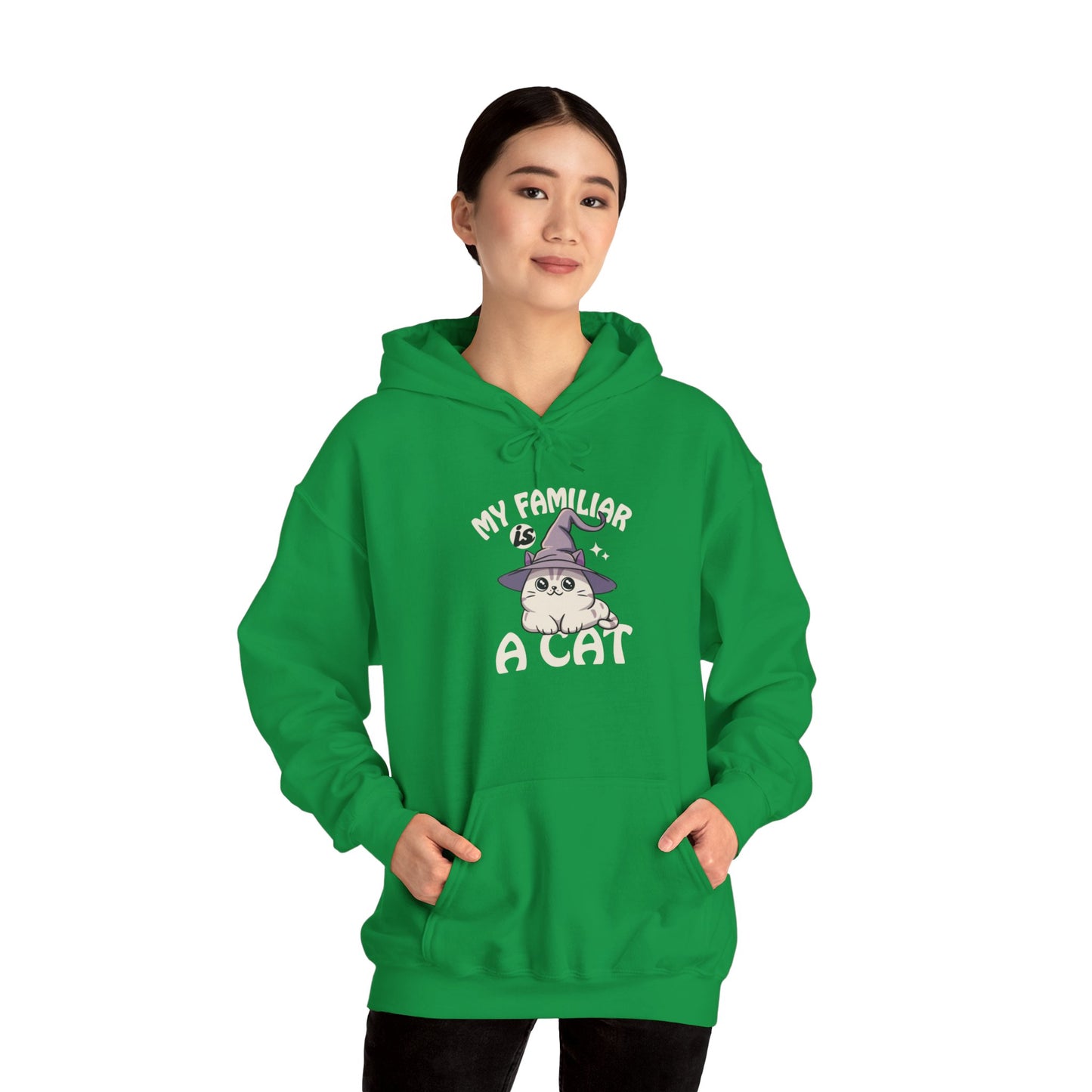 My Familiar is a Cat - Heavy Blend™ Hoodie for Men and Women