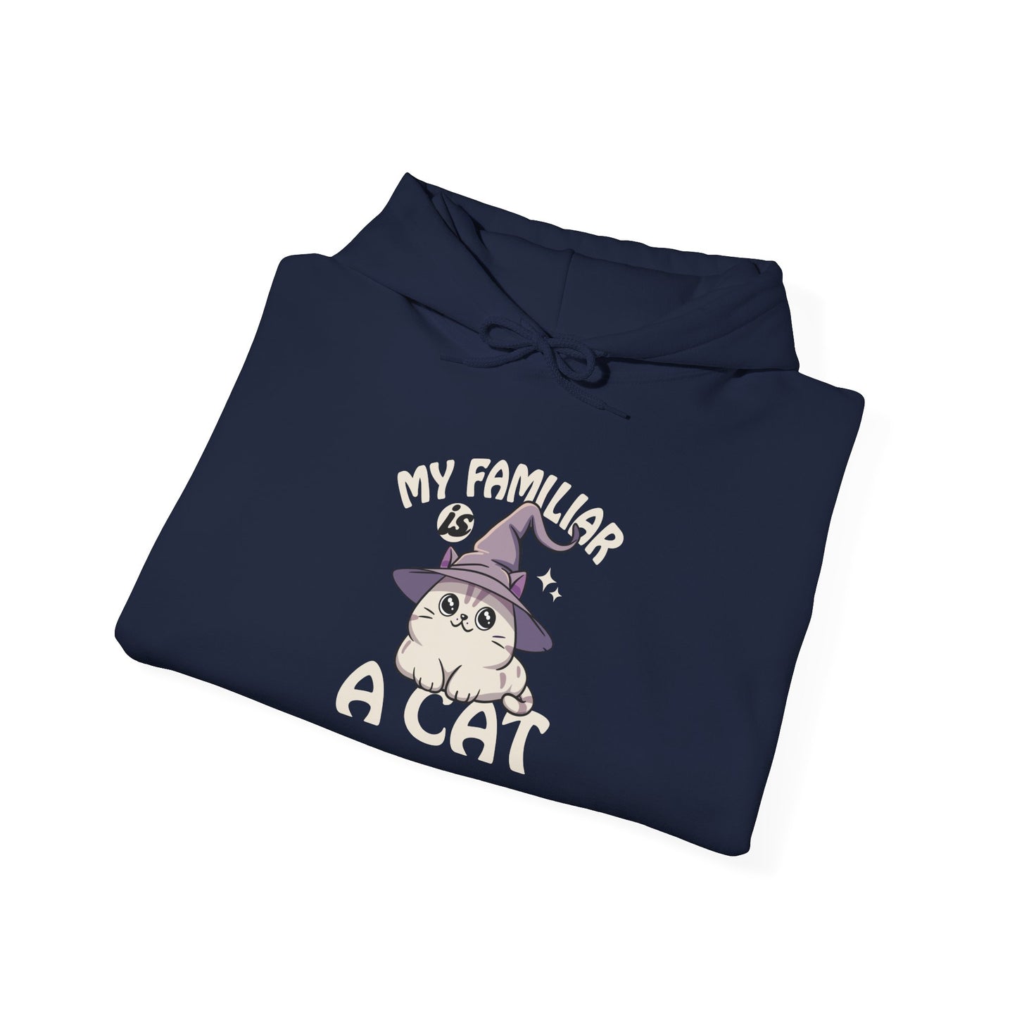 My Familiar is a Cat - Heavy Blend™ Hoodie for Men and Women