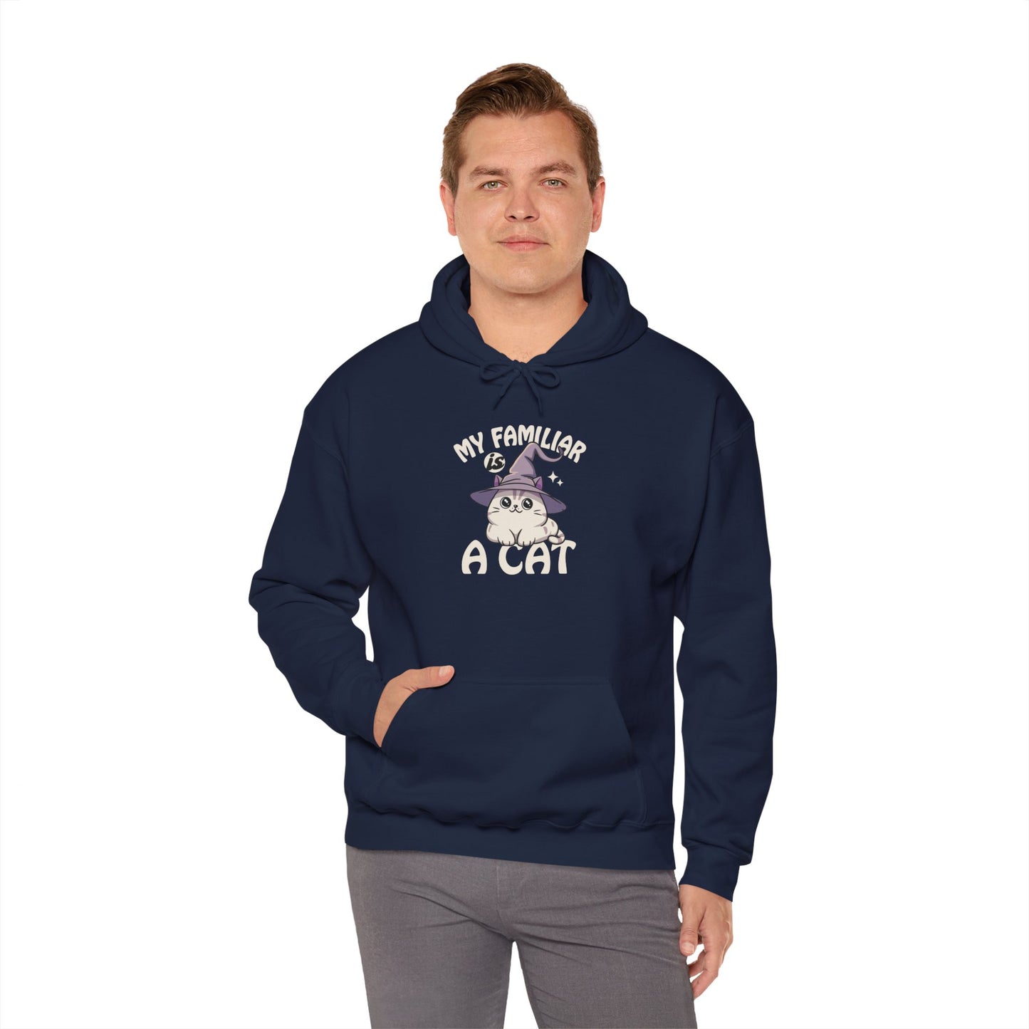 My Familiar is a Cat - Heavy Blend™ Hoodie for Men and Women