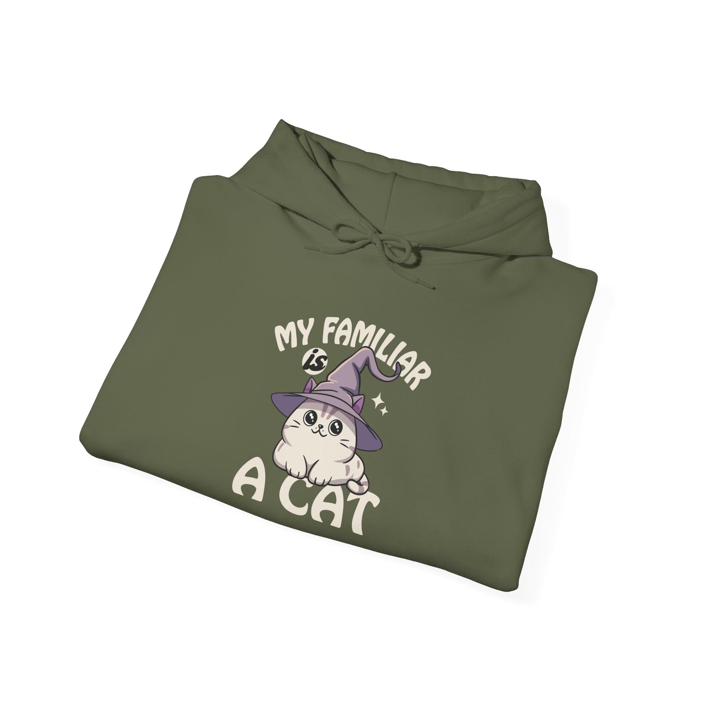 My Familiar is a Cat - Heavy Blend™ Hoodie for Men and Women