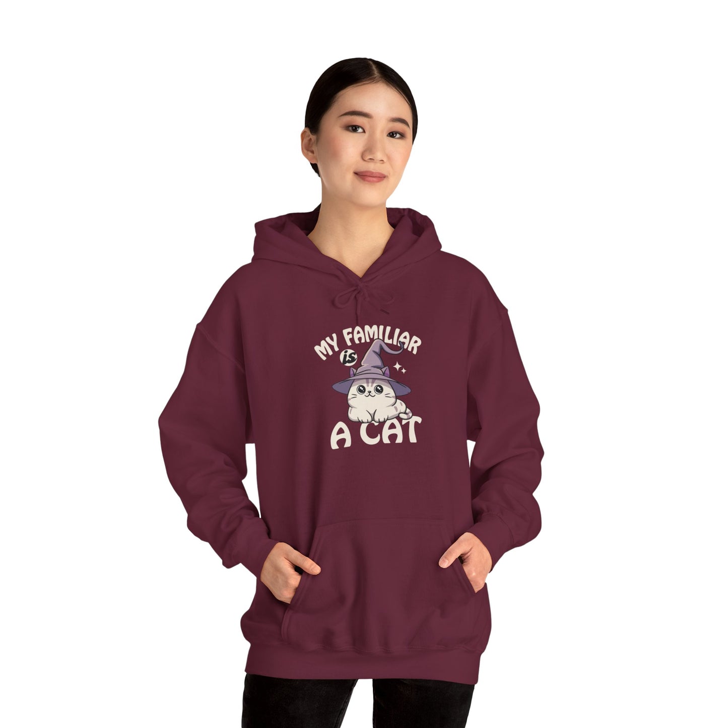 My Familiar is a Cat - Heavy Blend™ Hoodie for Men and Women