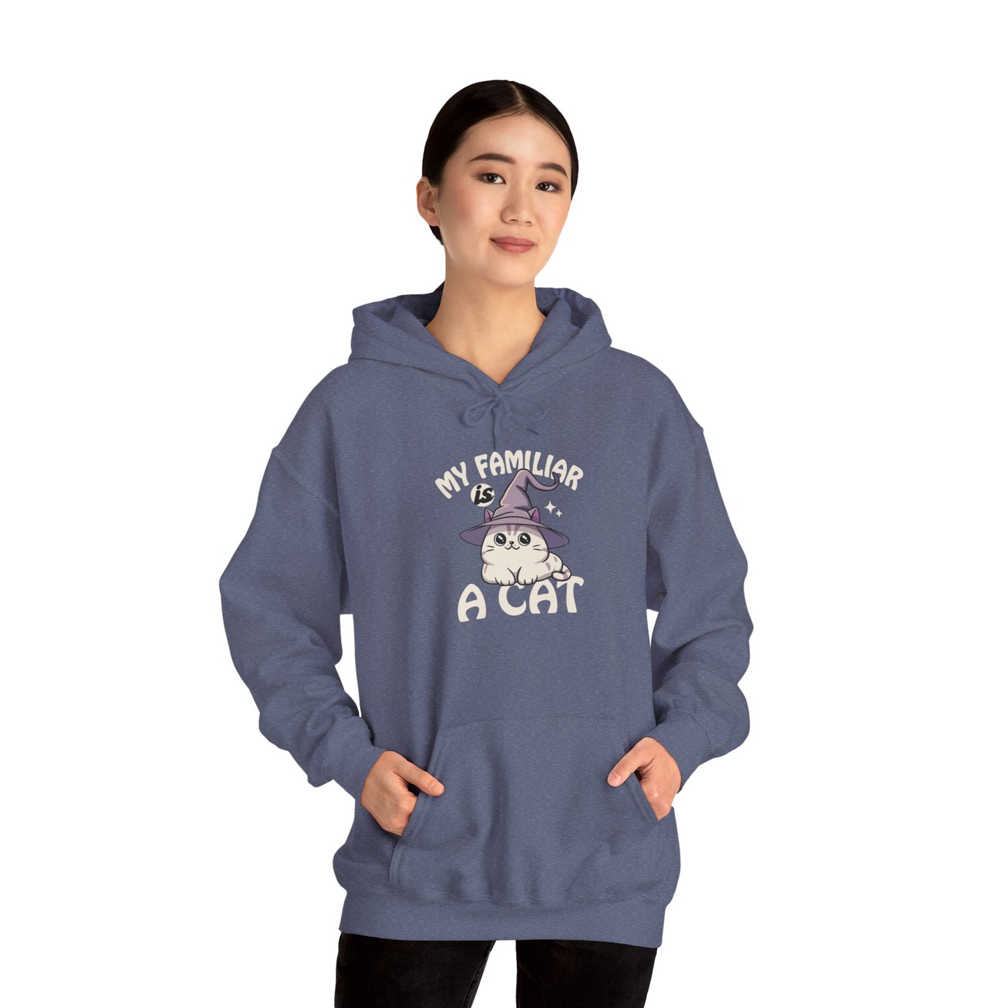 My Familiar is a Cat - Heavy Blend™ Hoodie for Men and Women