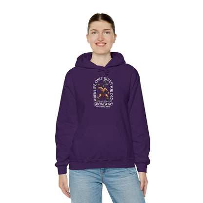 D12 Swing Away - Heavy Blend™ Hooded Sweatshirt for Men and Women